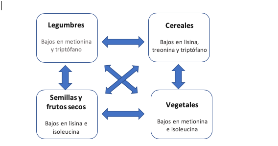 Dieta proteica para vegetarianos